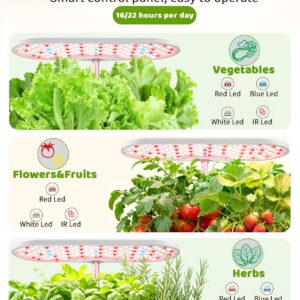 Growell Hydroponics Growing System Kit 16-pod - Image 3