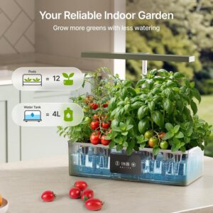 SUNCOZE Hydroponics Growing System Kit - Image 4